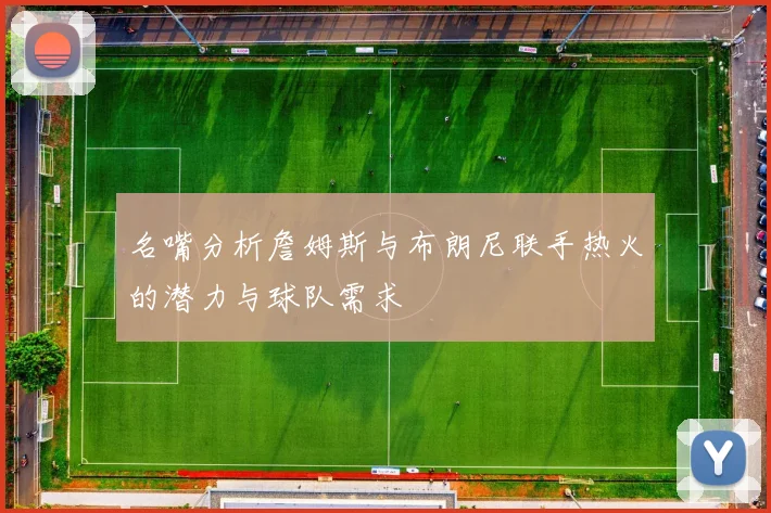 名嘴分析詹姆斯与布朗尼联手热火的潜力与球队需求