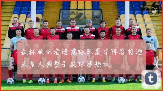 森林狼记者透露球队夏季阵容将迎来重大调整引发球迷热议